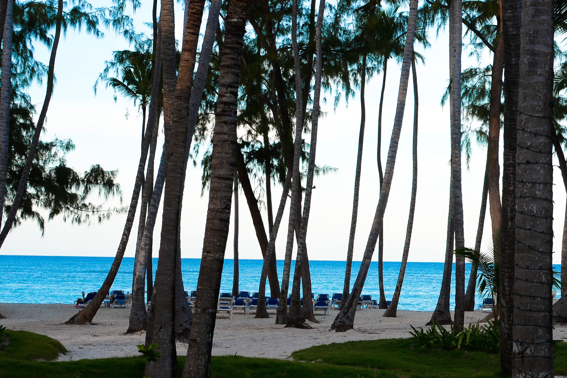 Foto de Vista Sol Punta Cana Beach Resort & Spa