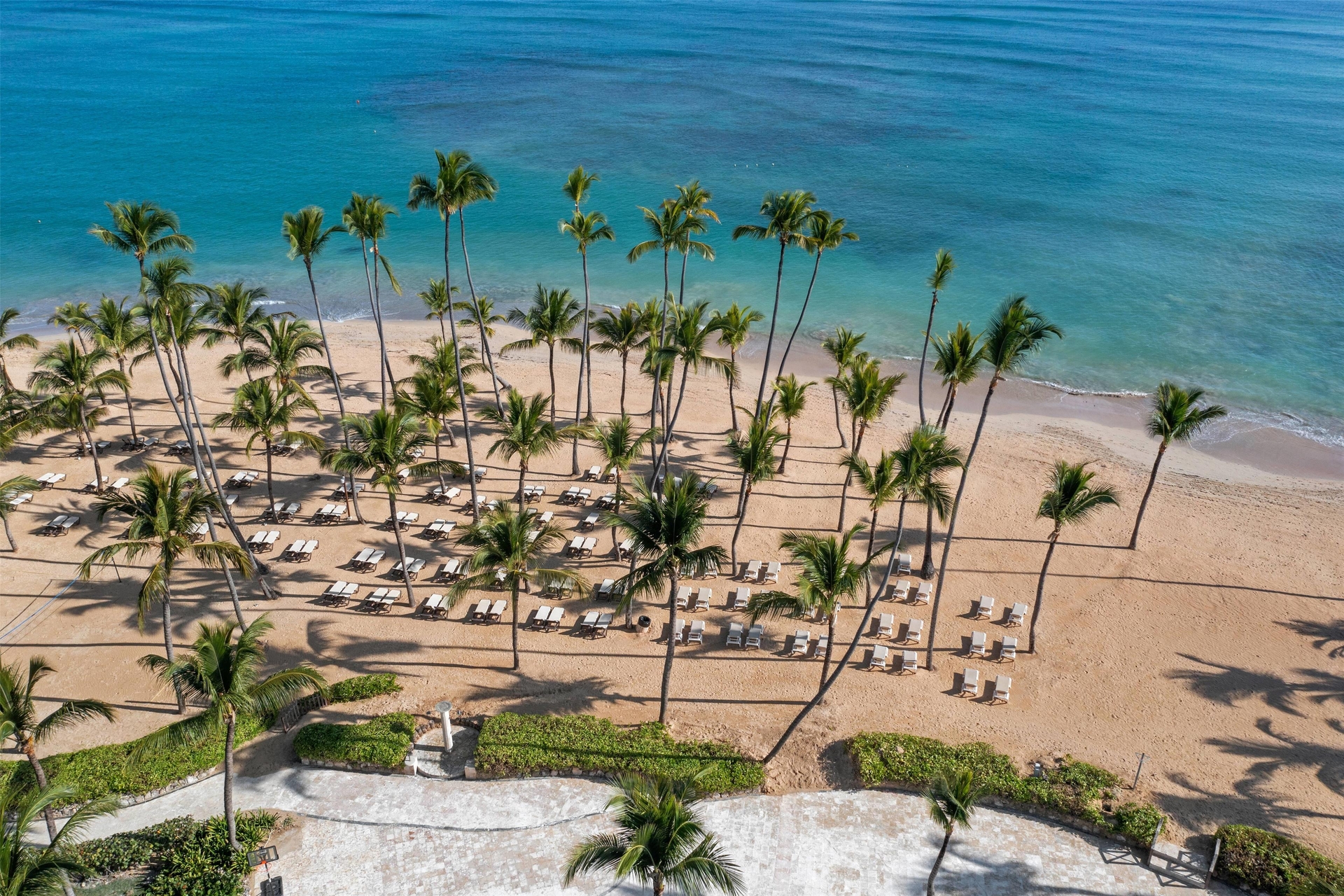 Foto de Wyndham Alltra Punta Cana All Inclusive Resort