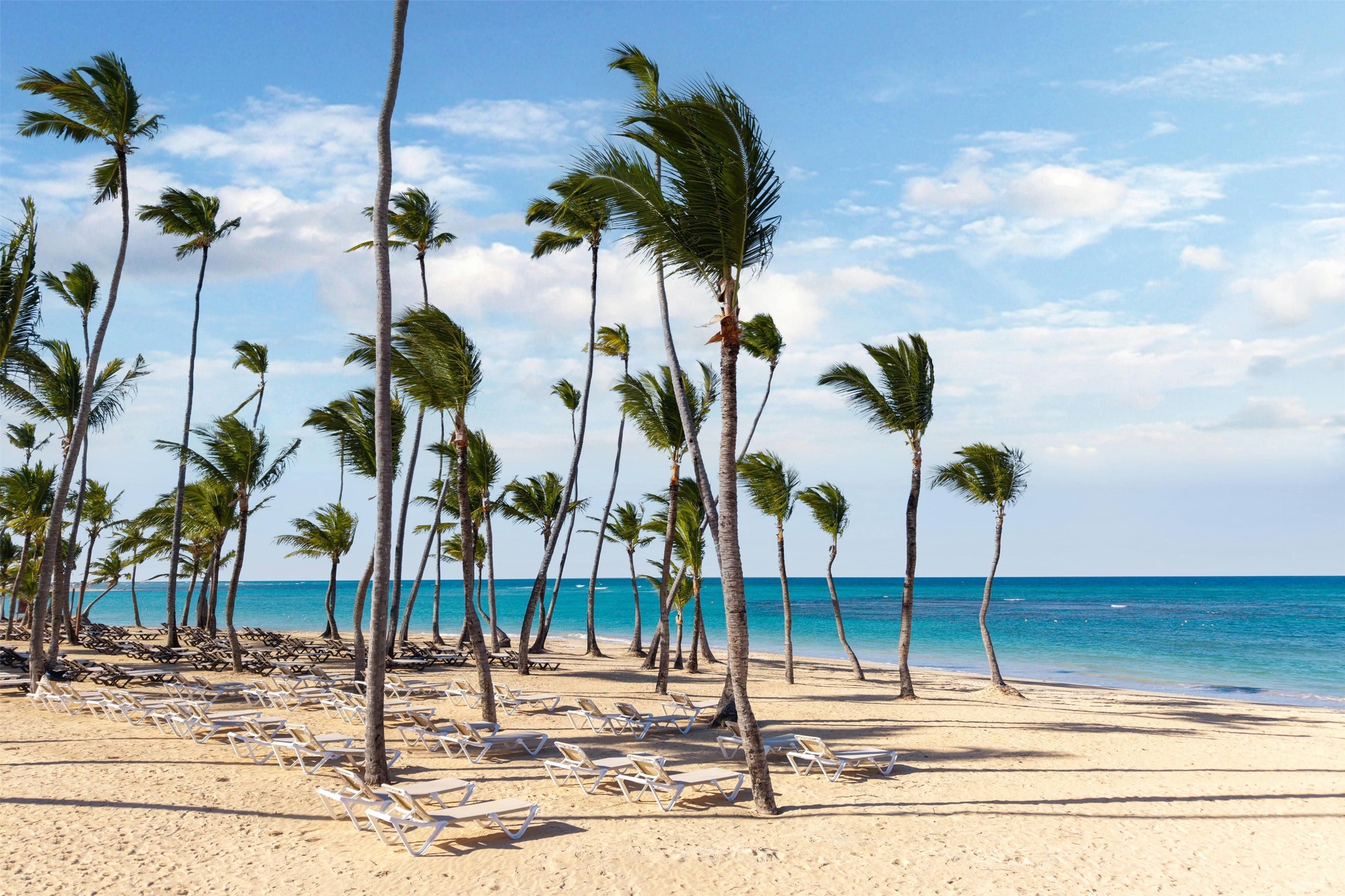 Foto de Wyndham Alltra Punta Cana All Inclusive Resort