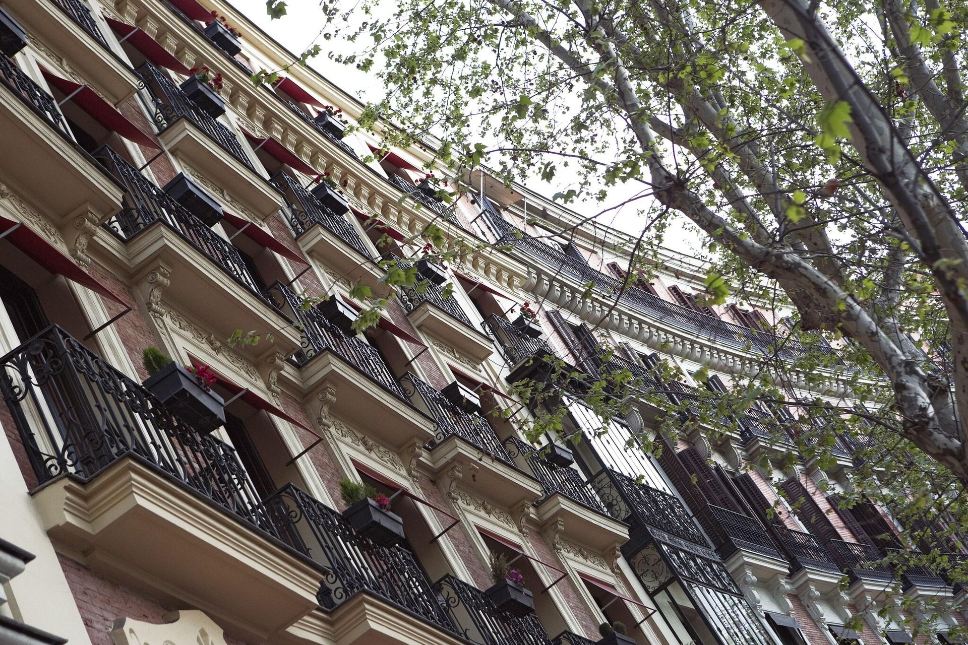 Foto de Hospes Puerta de Alcalá