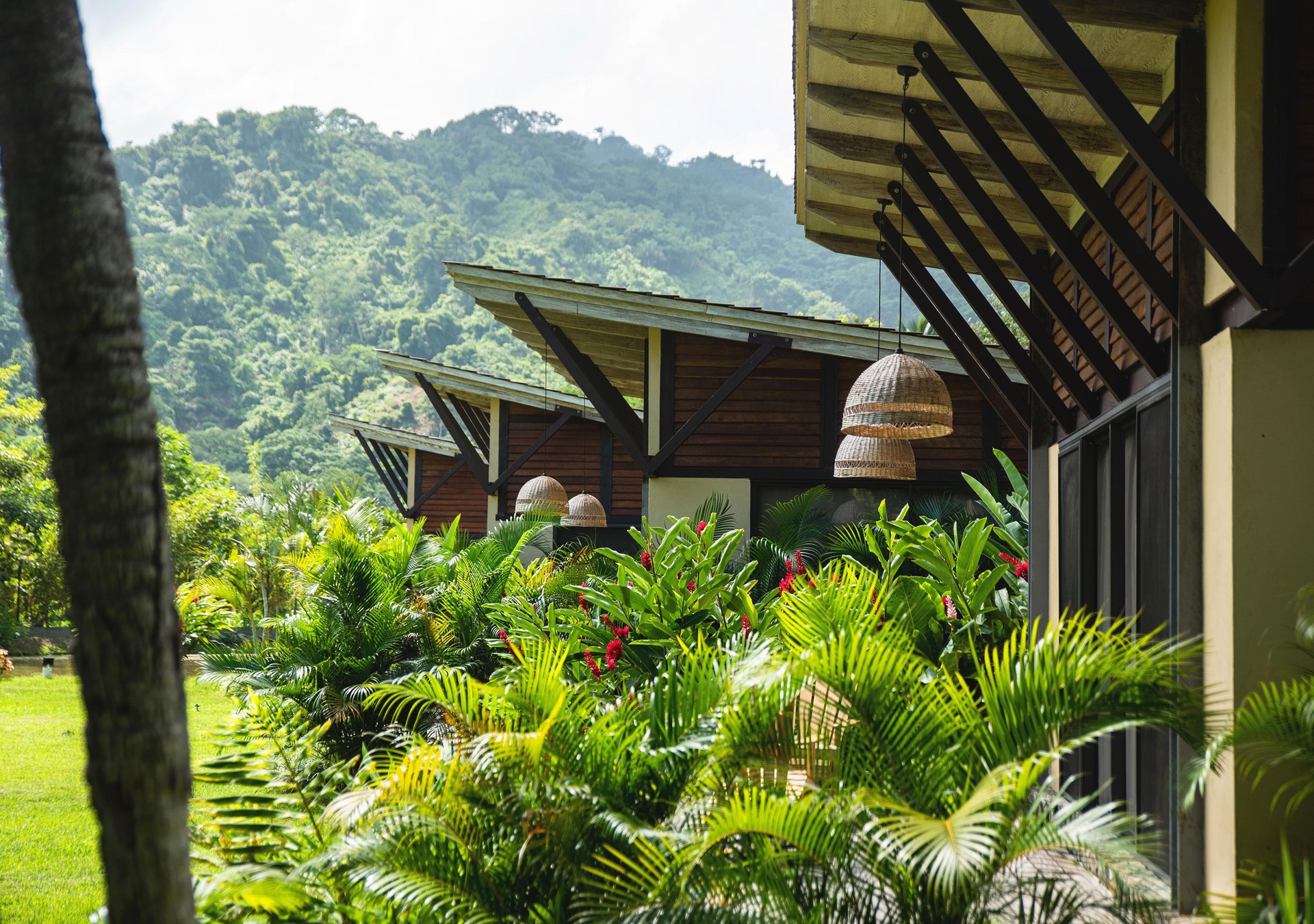 Foto de Hotel La Finca Buritaca