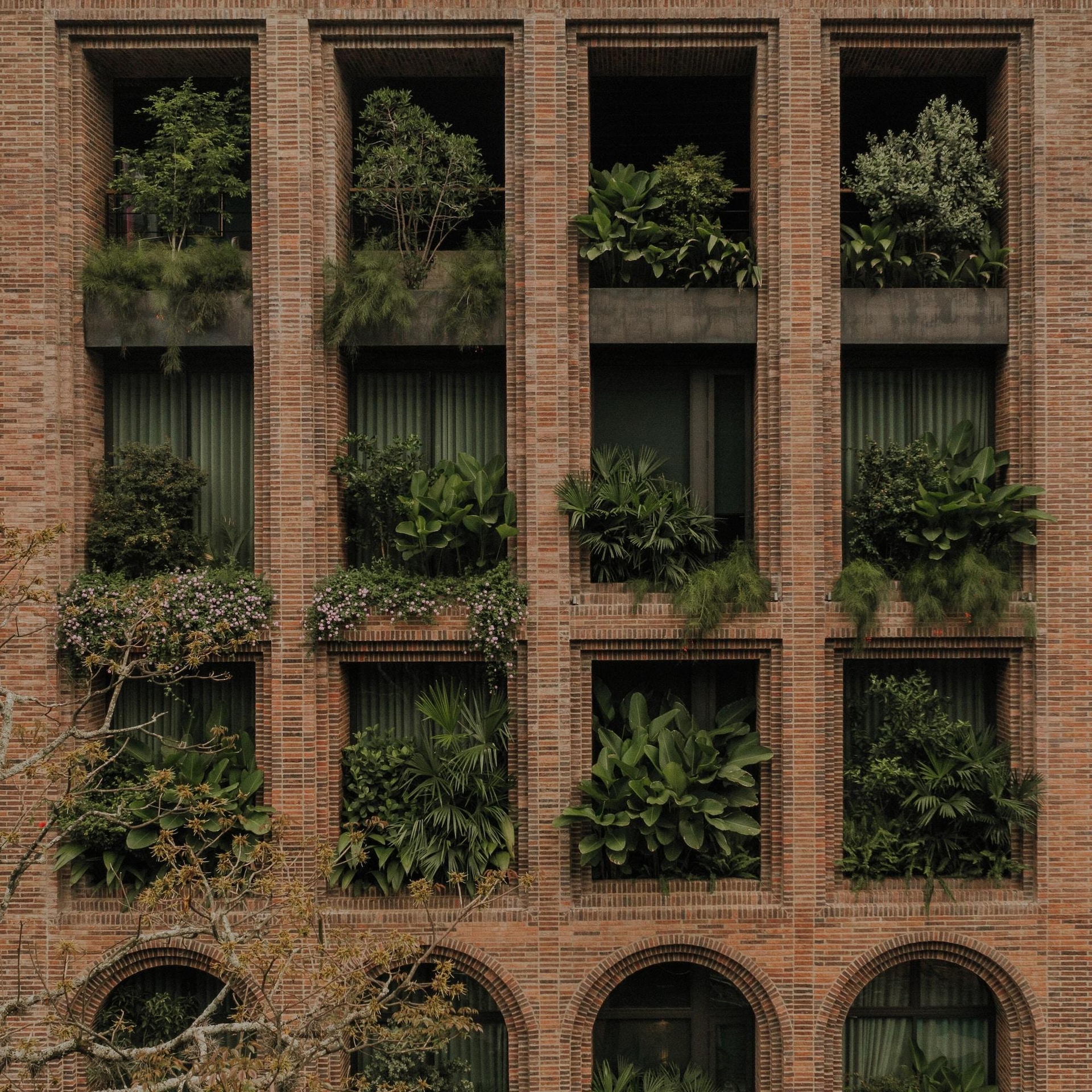 Foto de Hotel El Zarzo