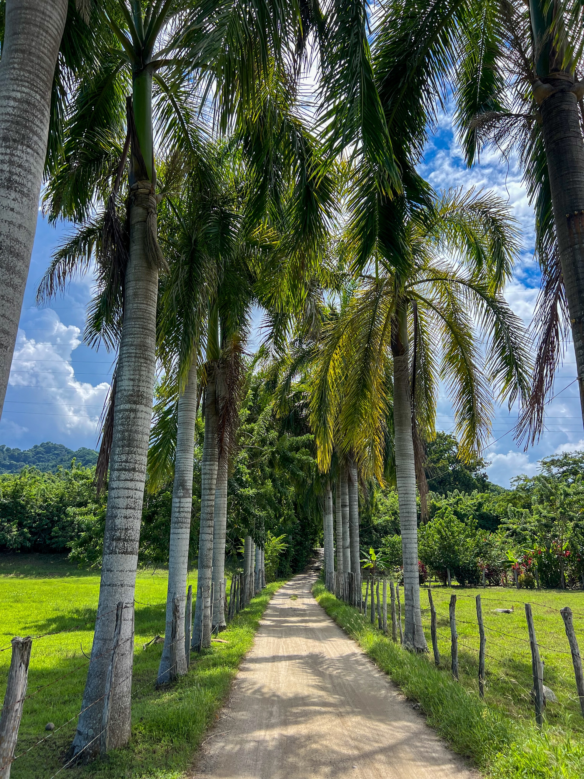 Foto de Hotel Senderos Del Mar - Tayrona