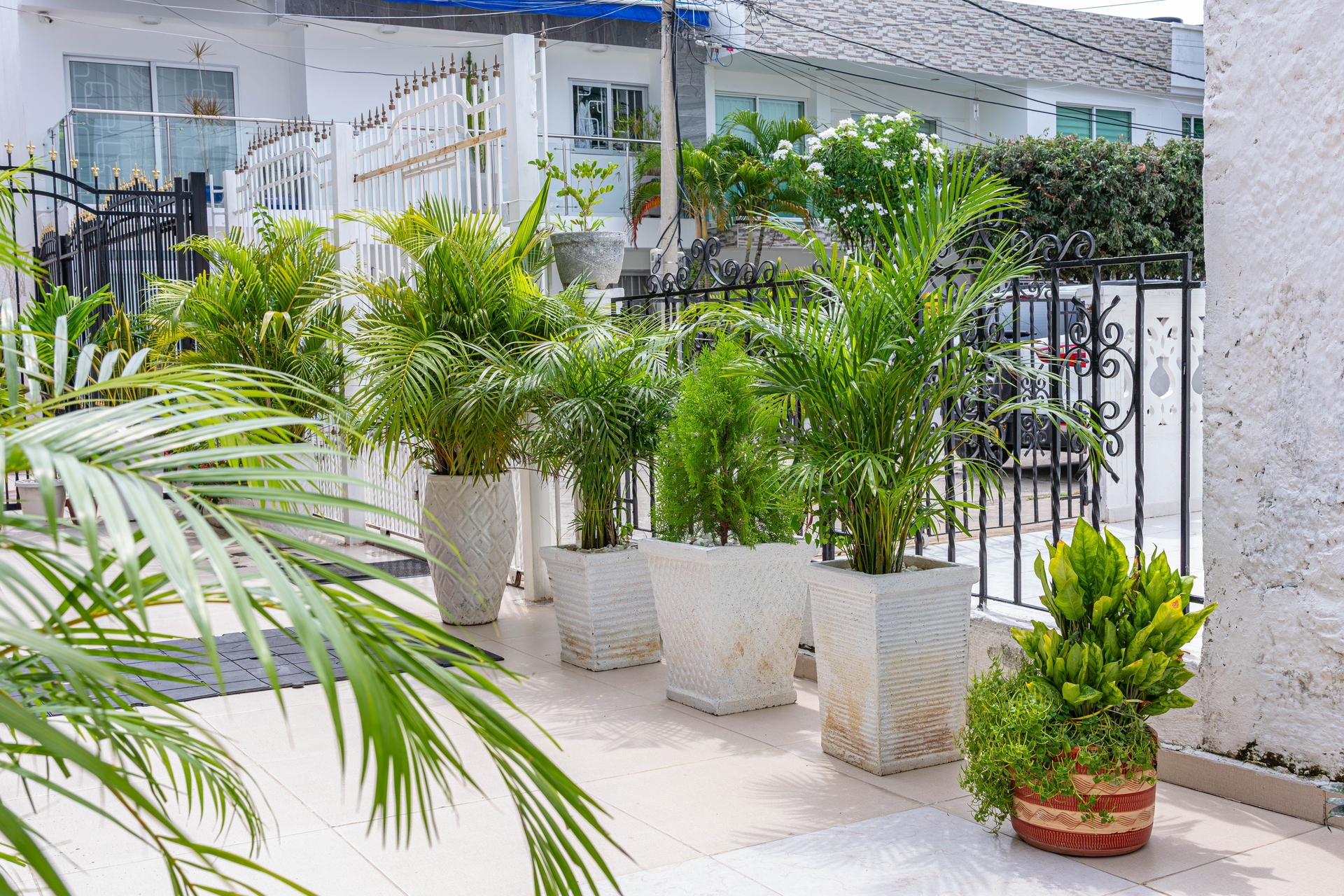 Foto de Oresca Hostel