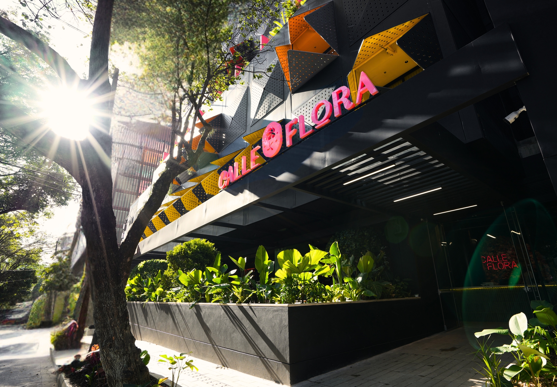 HOTEL CALLE FLORA BY JALO