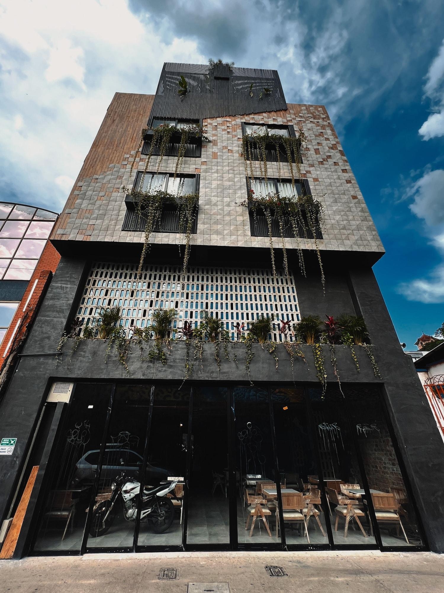 Foto de Hotel Zelva Negra