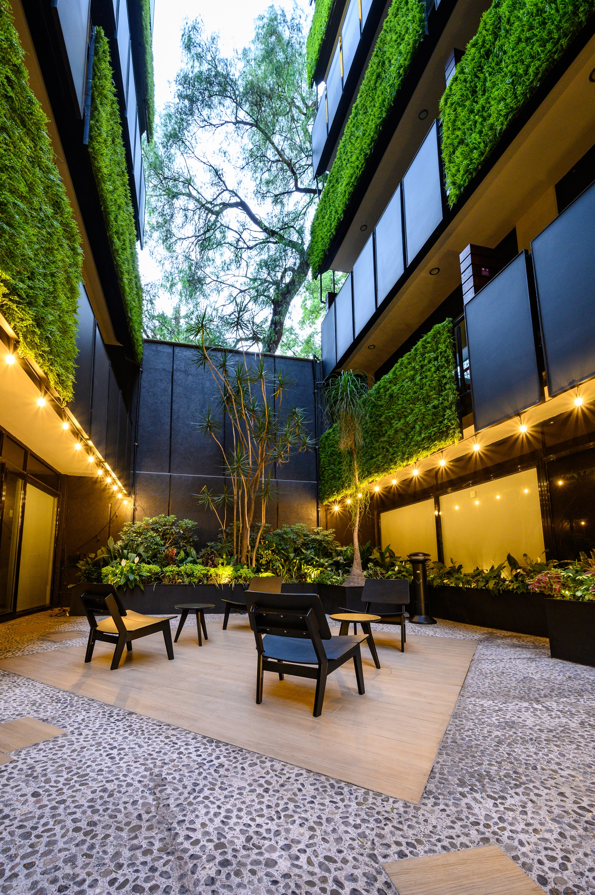 Foto de Las Suites Campos Elíseos
