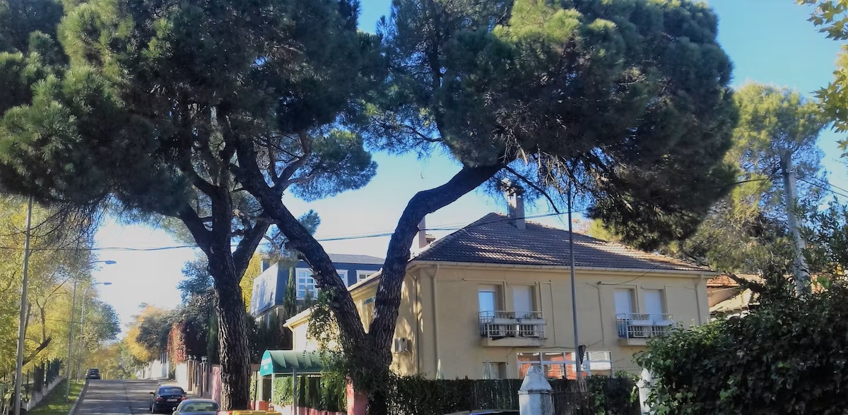 Foto de Hostal Aravaca Garden