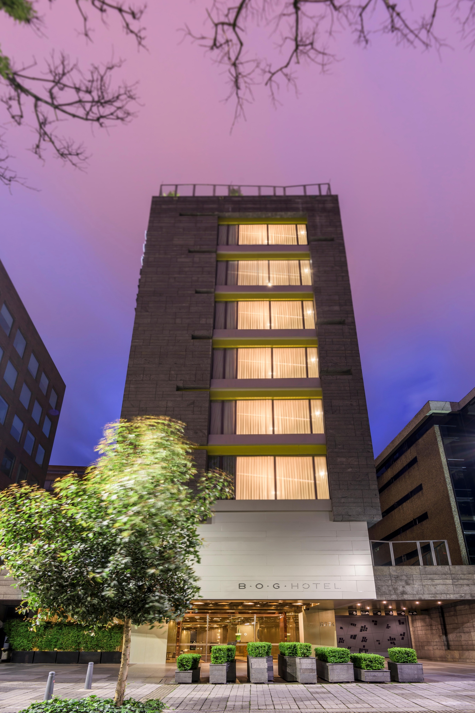 Foto de BOG Hotel