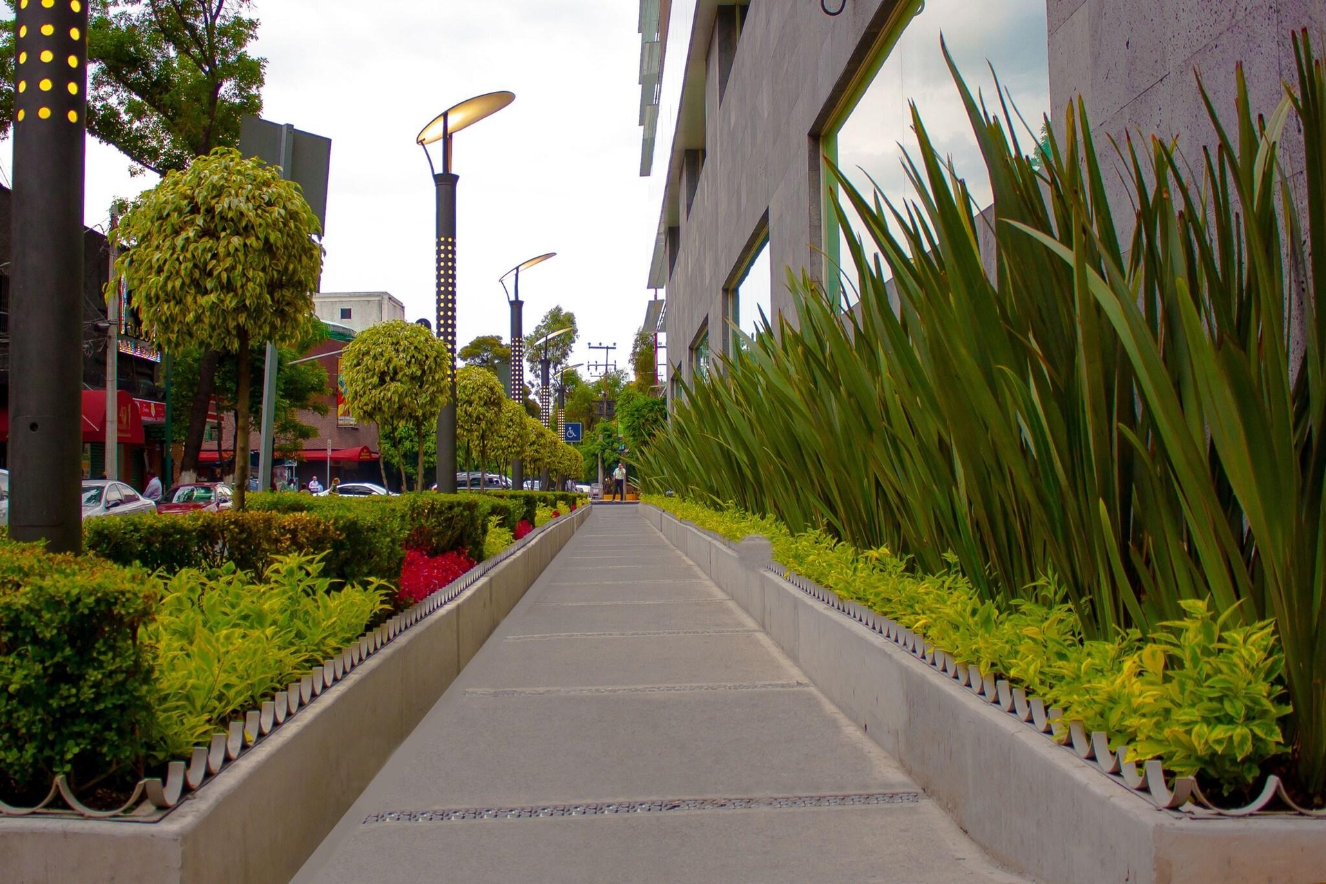 Foto de Hotel Novit