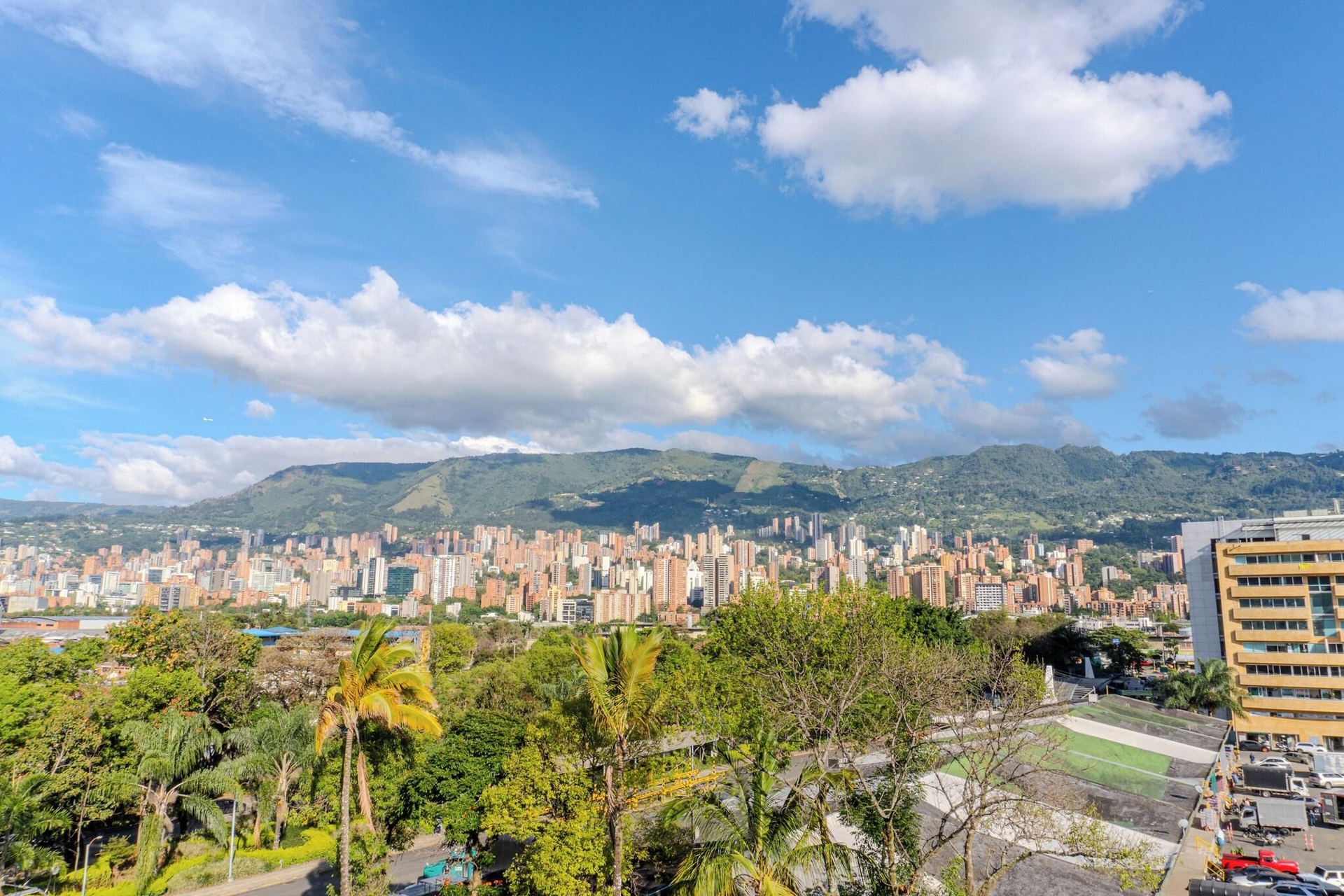 Foto de Alcaraván
