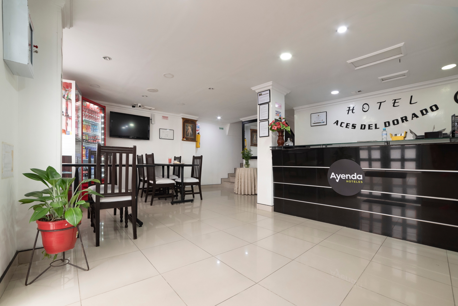 Foto de Hotel Dorado 100