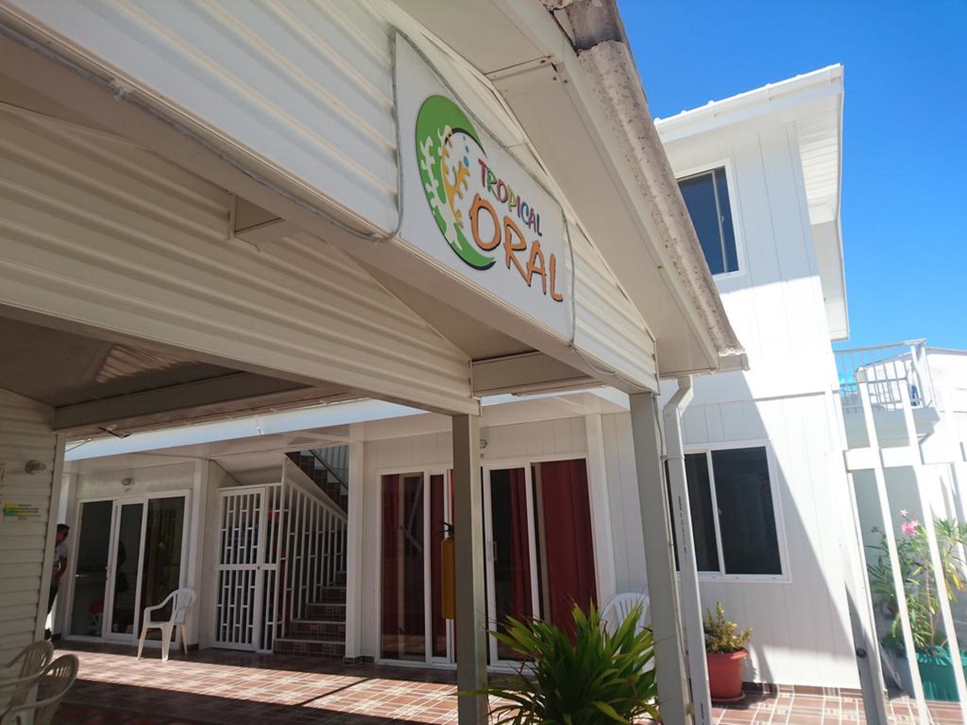 Foto de Tropical Coral