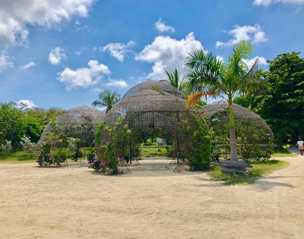 Foto de Hotel Fenix Beach Cartagena