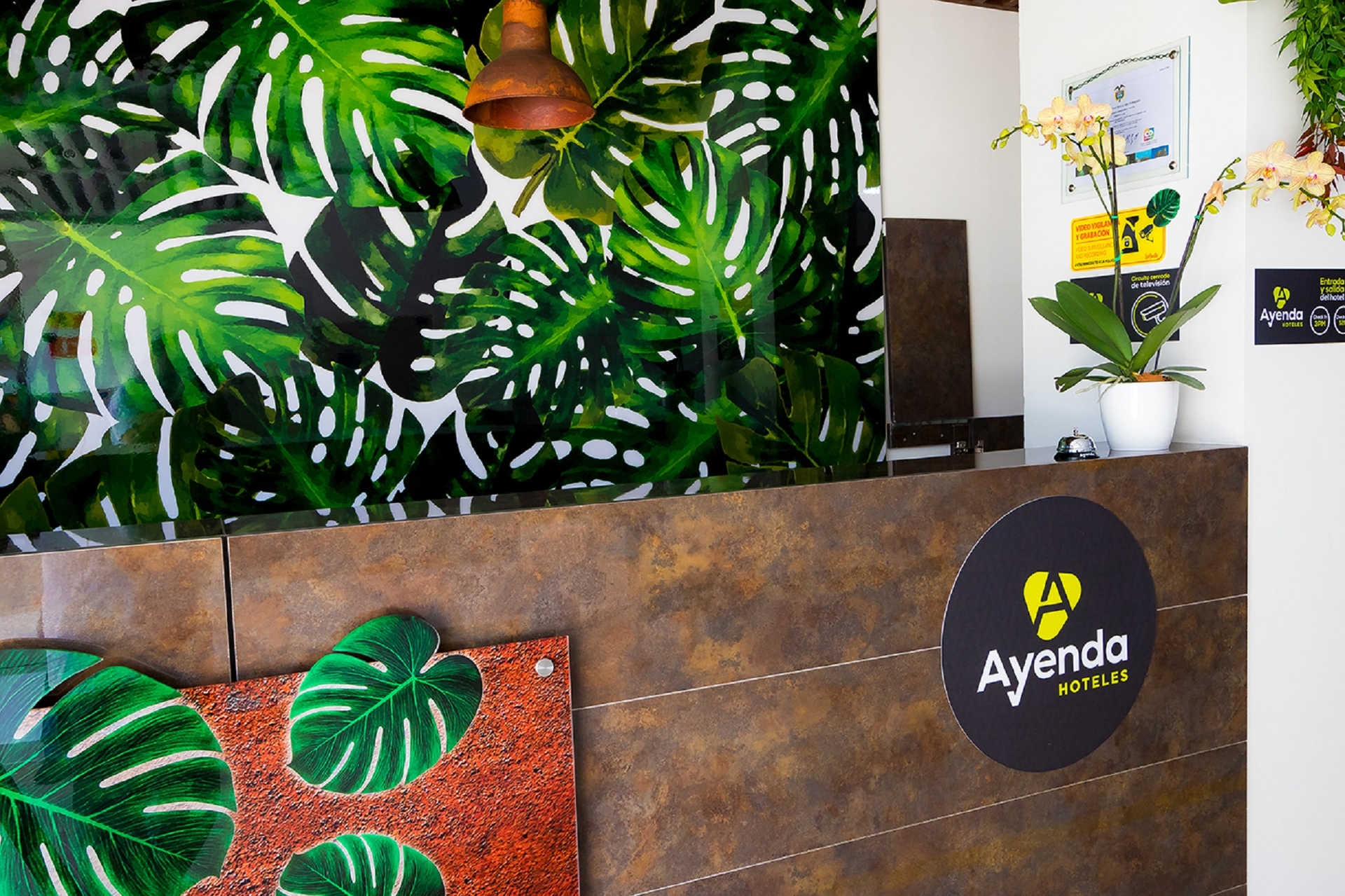 Foto de Hotel Eco Suite Cali