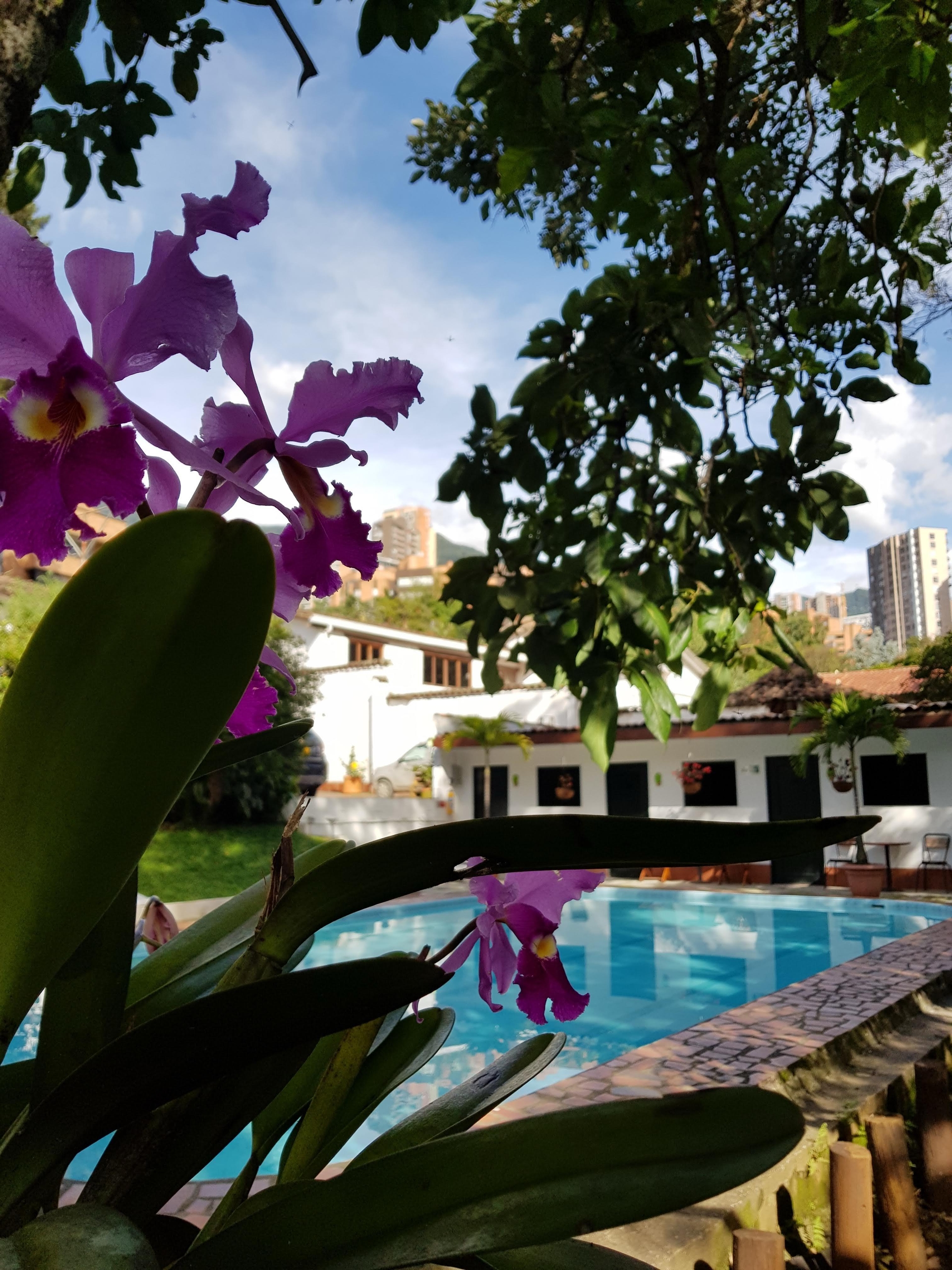 Foto de Hotel Premium Real