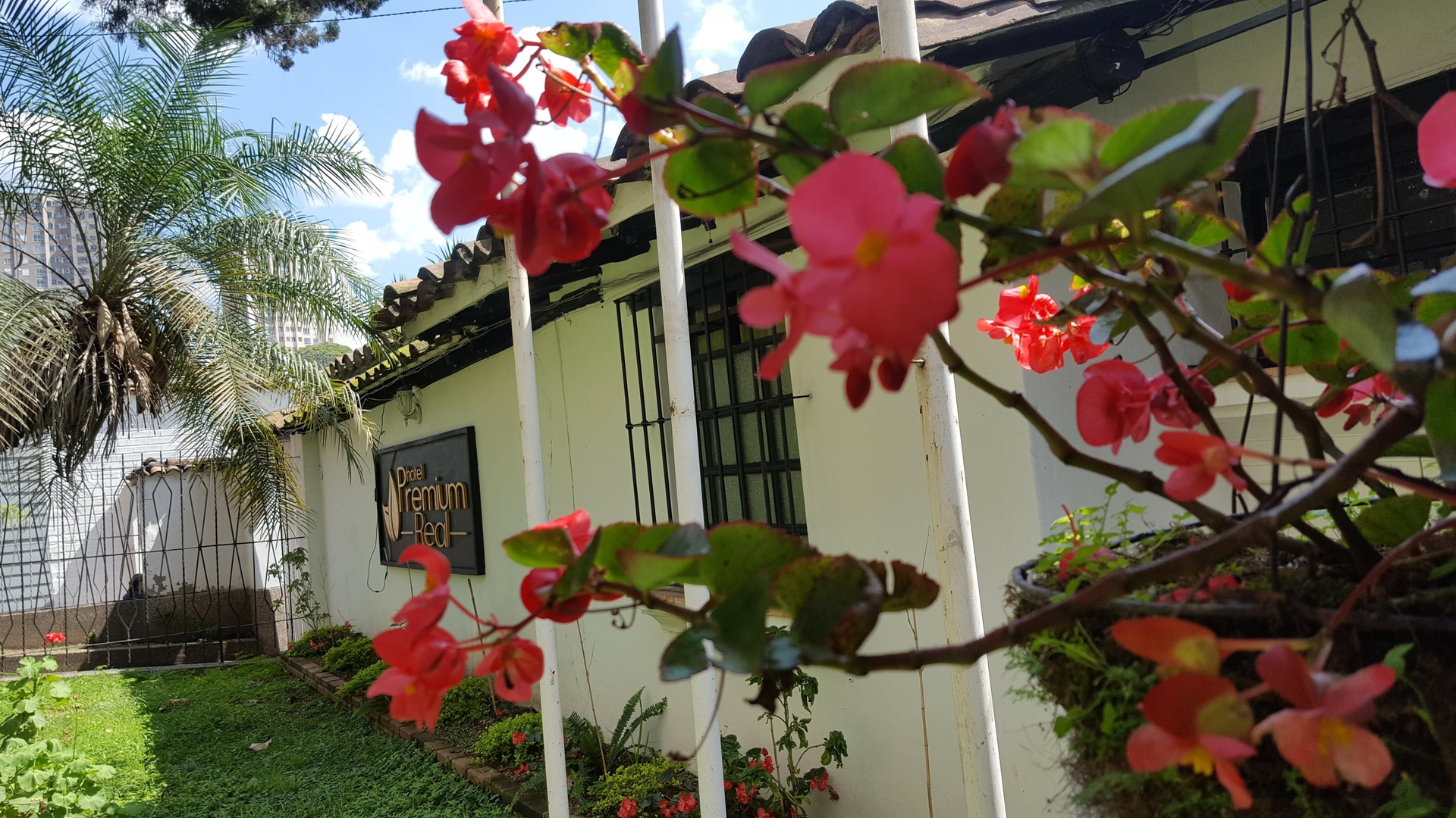 Foto de Hotel Premium Real
