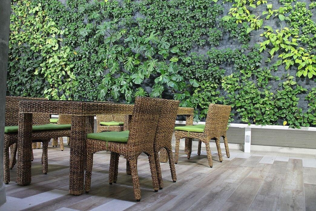 Foto de Terra Biohotel