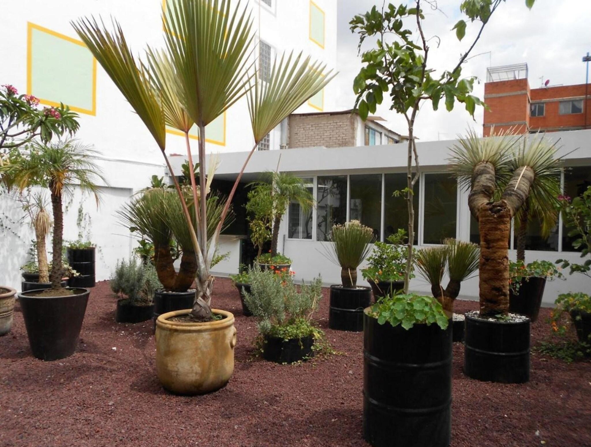 Foto de Hotel Dharma