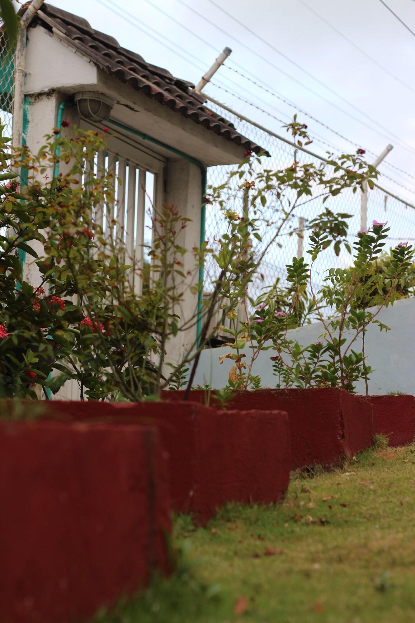 Foto de Posada Nativa Miss Trinie