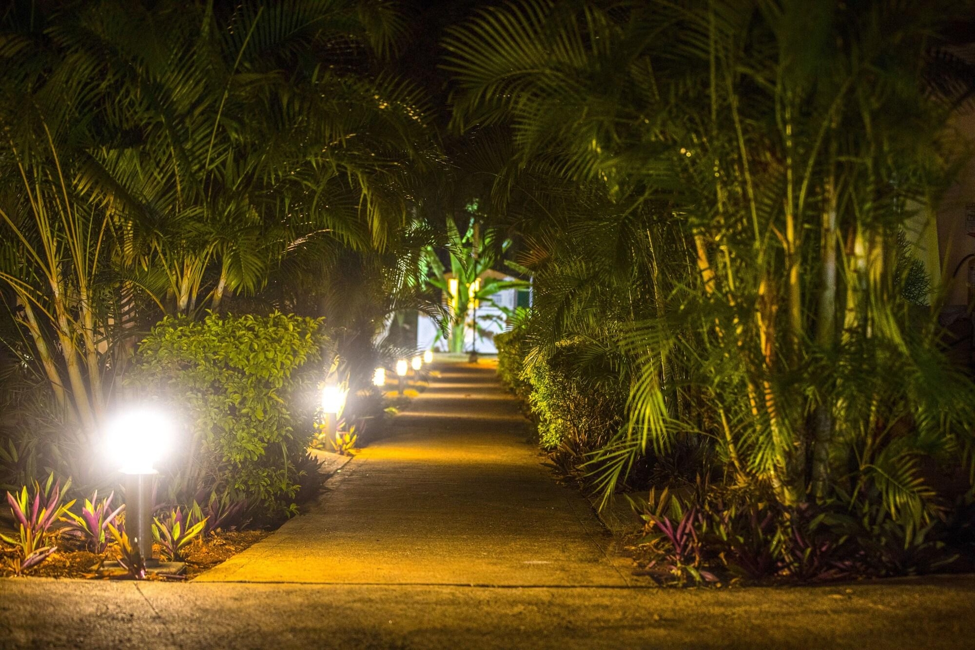 Foto de Solare Sai Ecohotel