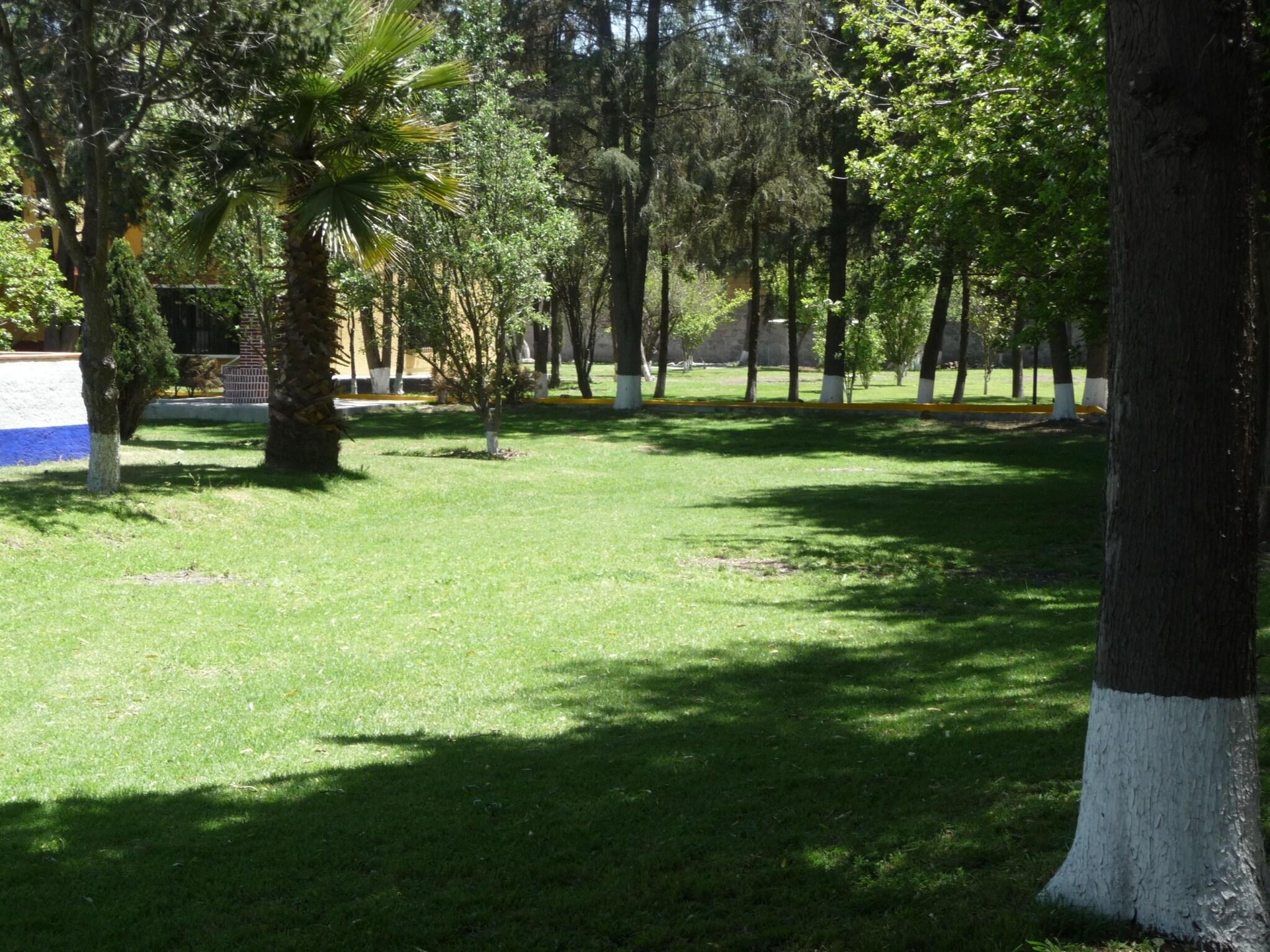 Foto de Hotel Finca Las Hortensias