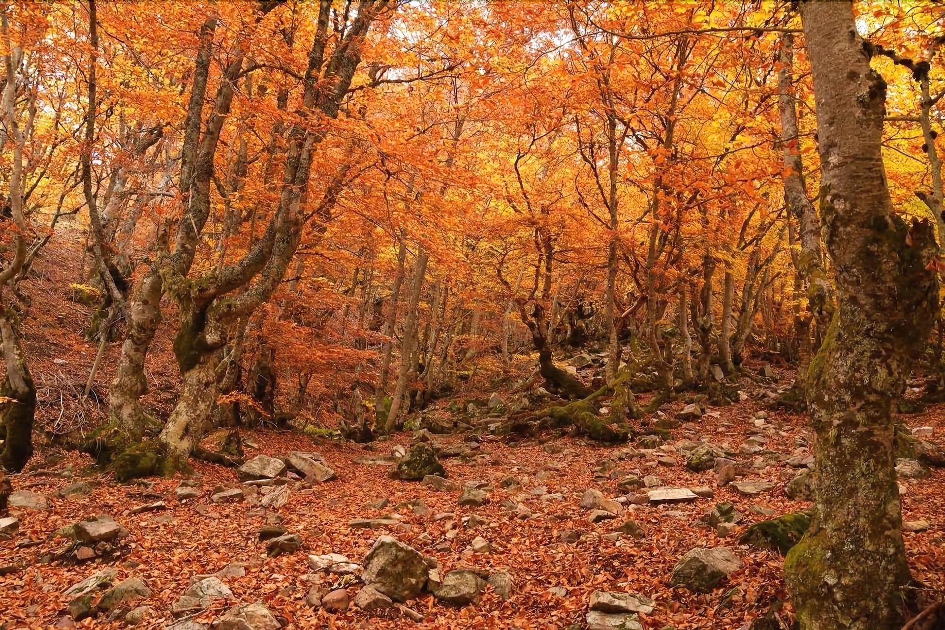 Foto de Hotel Rural Restaurante La Posada De Los Vientos