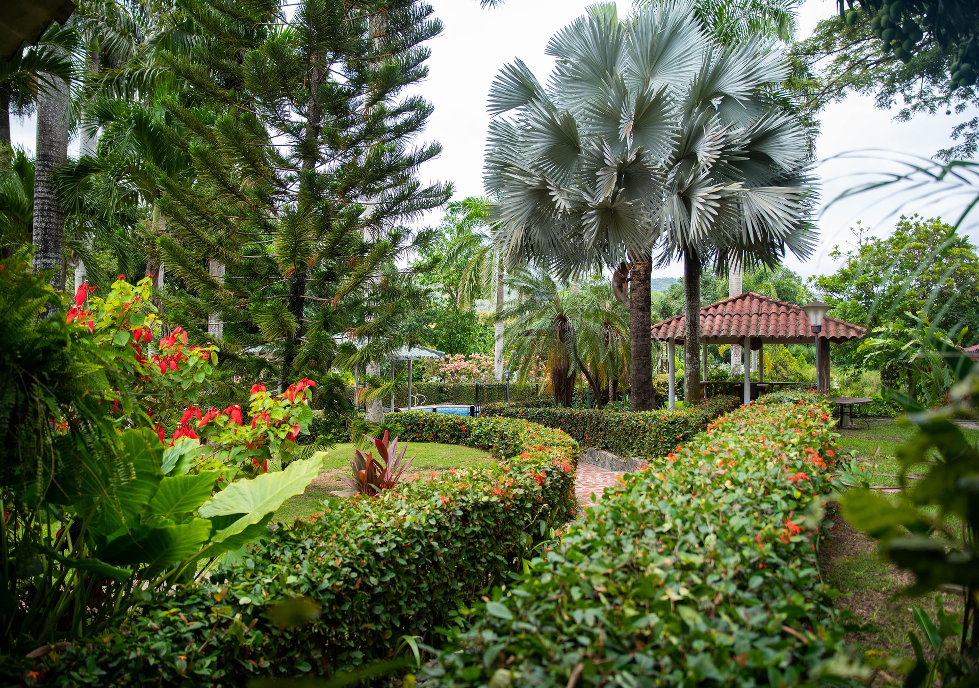 Foto de Hotel Portales del Tayrona