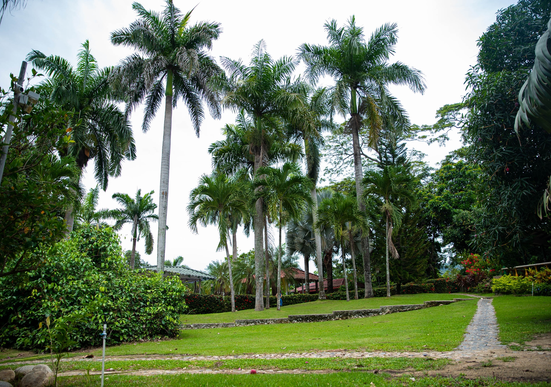 Foto de Hotel Portales del Tayrona