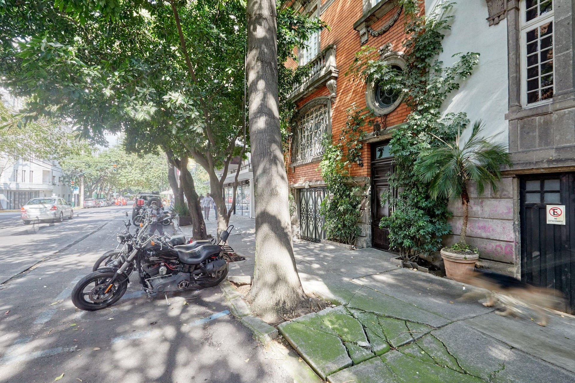 Foto de Sonder PariÃ¡n