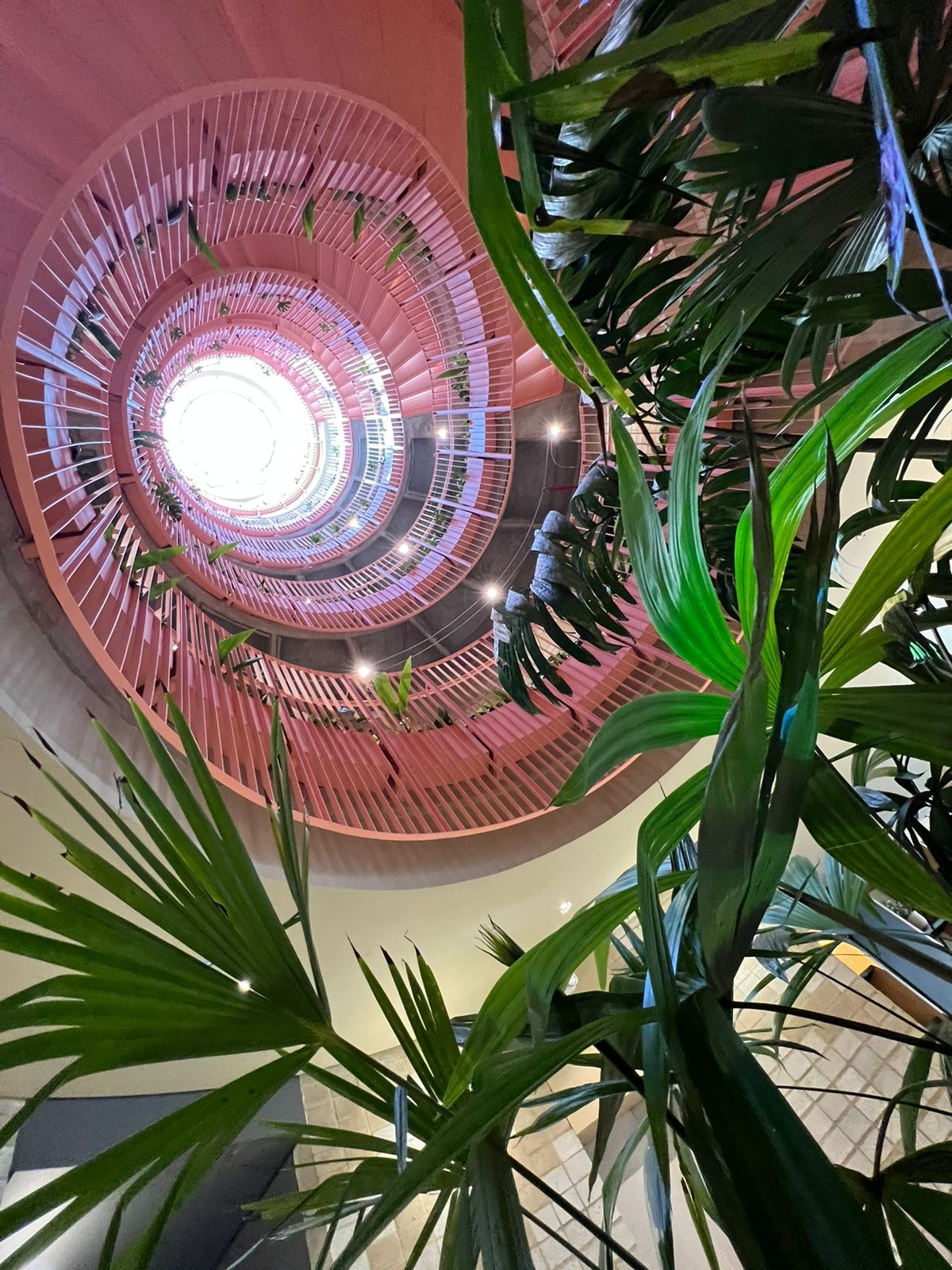 Foto de The Somos Bold Hotel