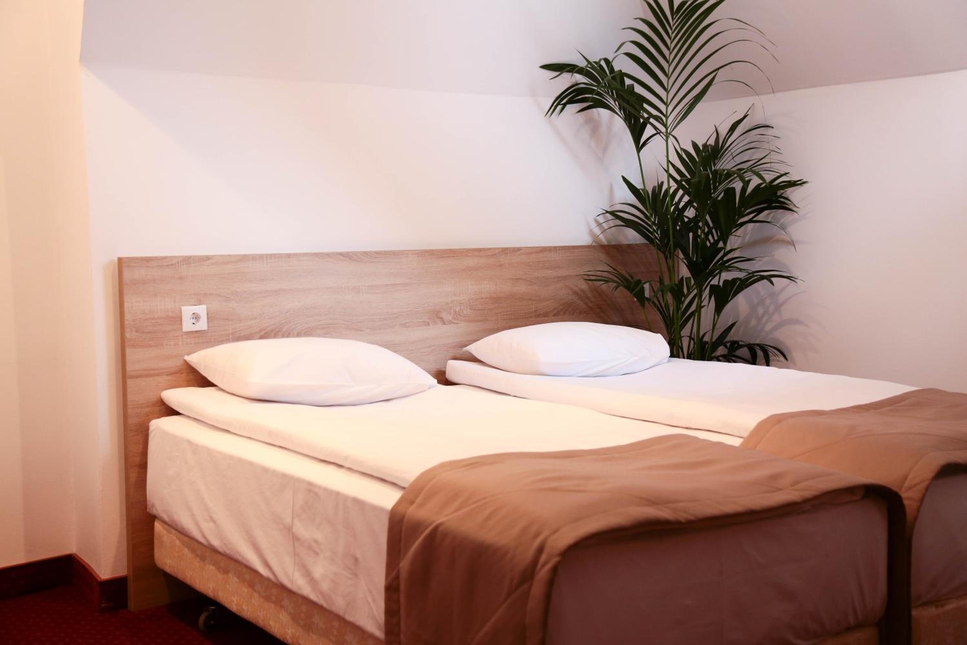Foto de Hotel Apollonia