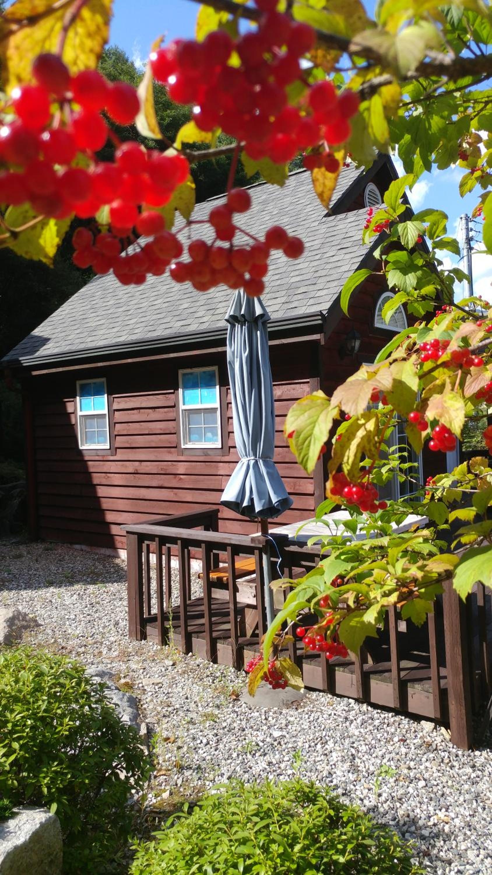 Foto de Sisilli Pension