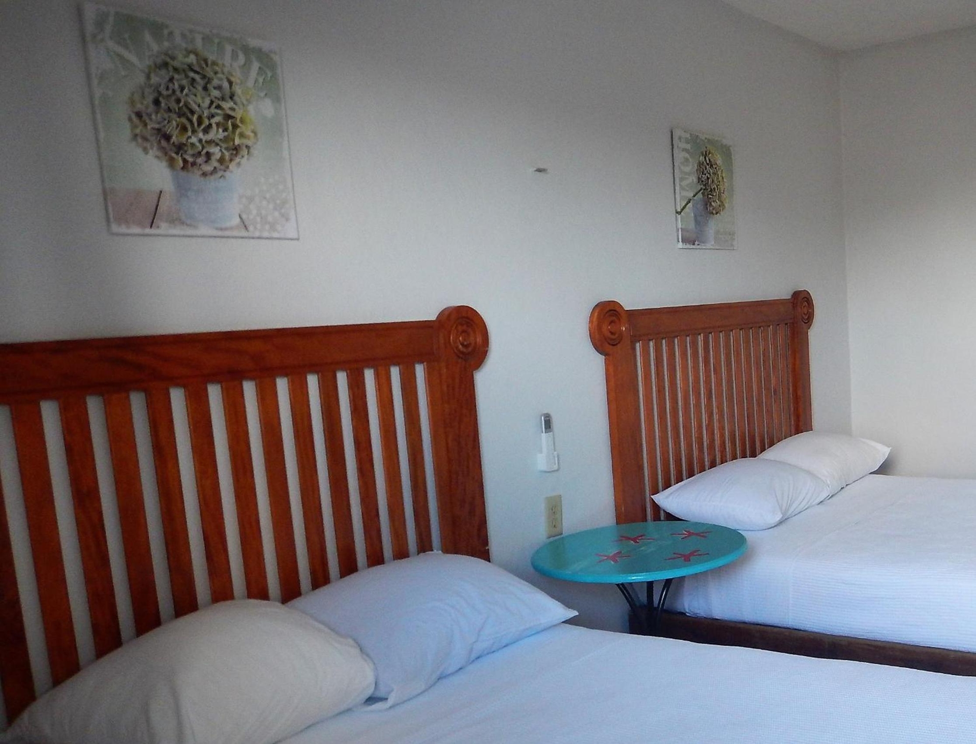 Foto de Blue Coconut Cancun Hotel