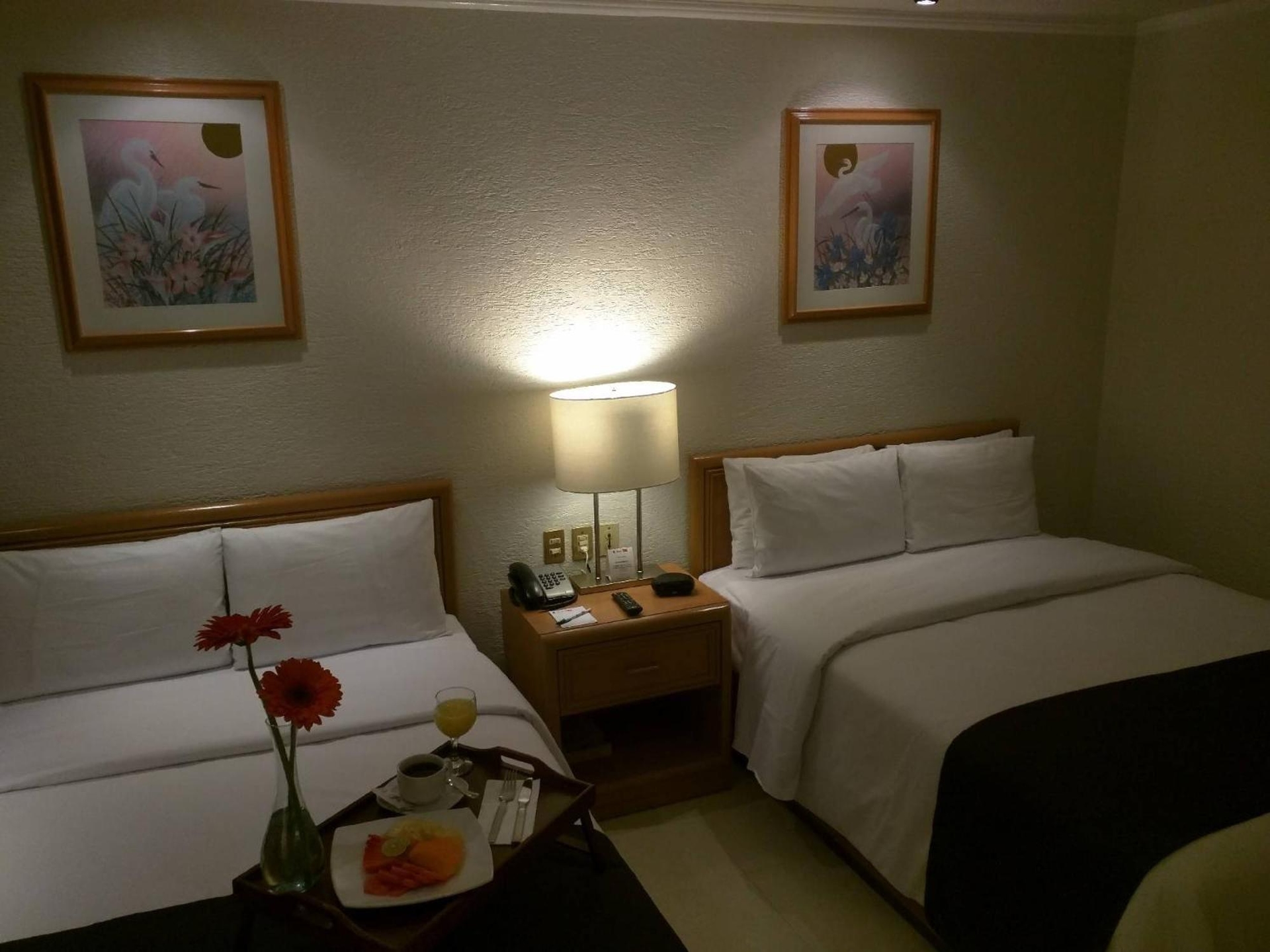 Foto de Hotel PF