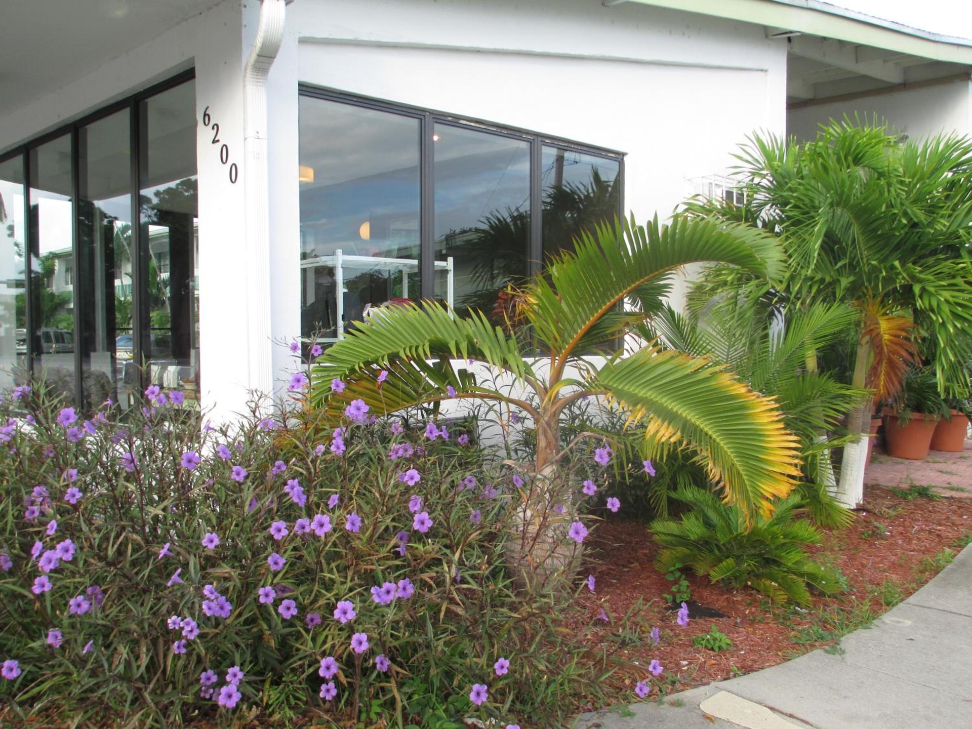 Foto de Shalimar Motel
