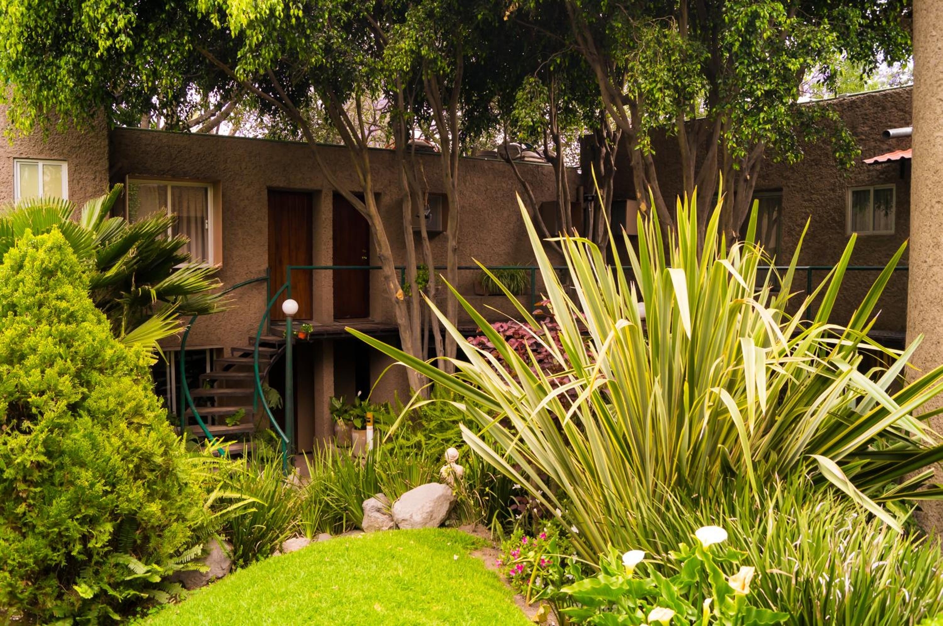 Suite 4B Bazzar, Garden House, Welcome to San Angel