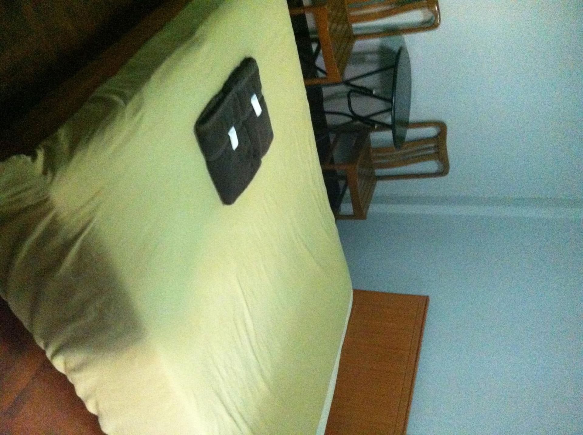 White Orchid Inn I