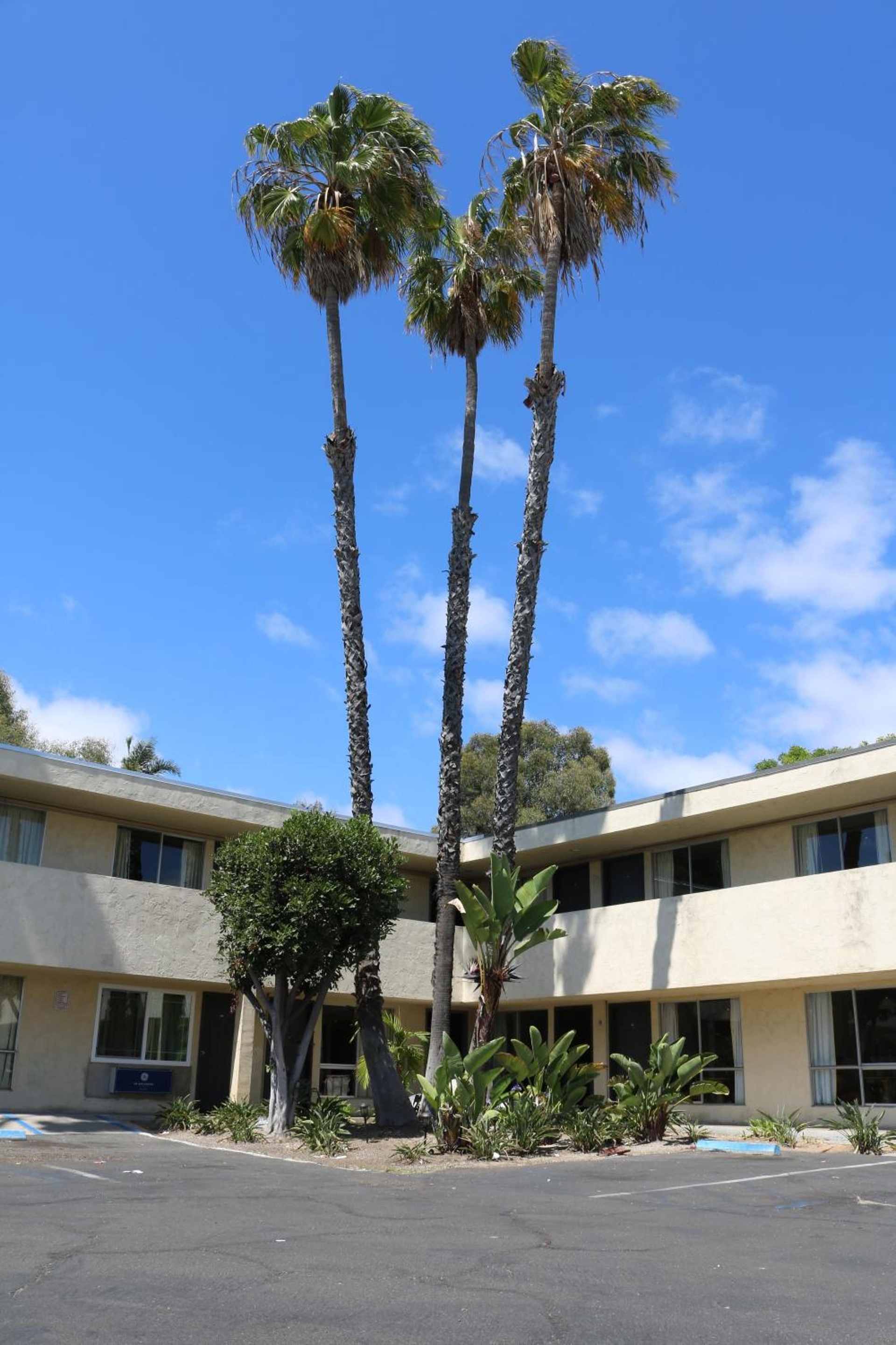Valli Hi Motel, San Ysidro, San Diego