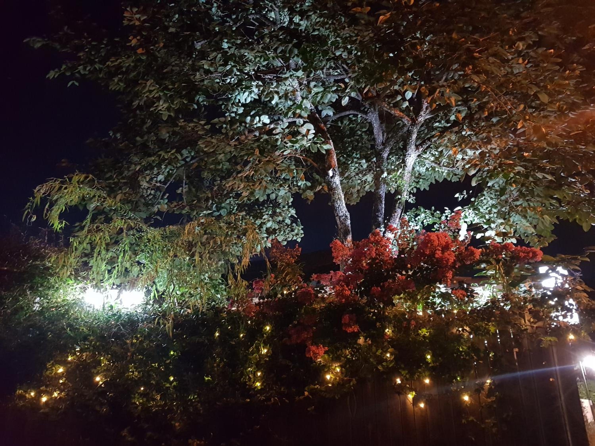 Foto de Hanok Story Guesthouse
