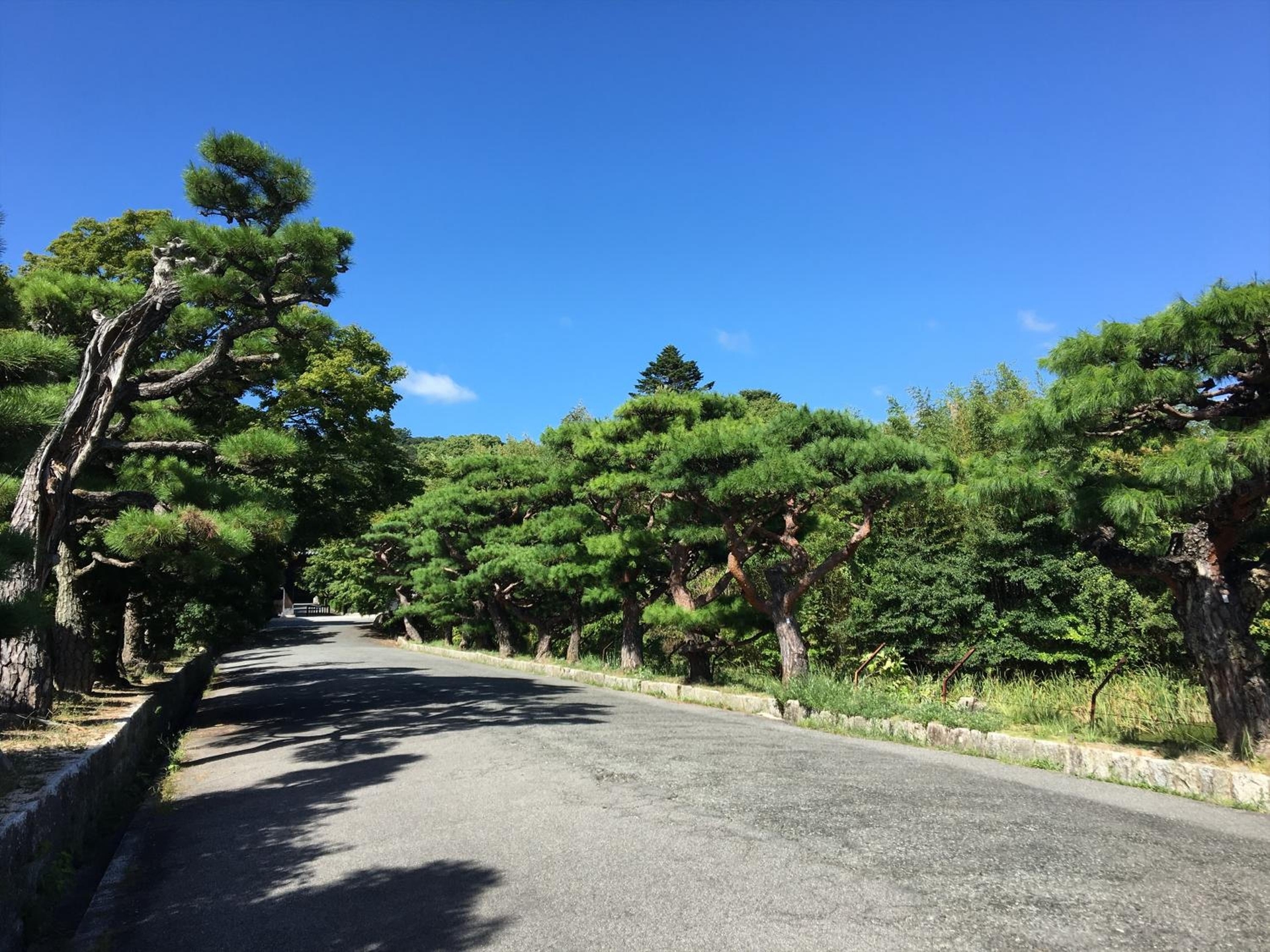 Foto de APA Hotel Yamaguchi Hofu