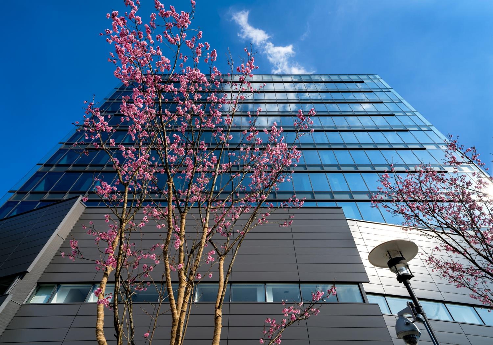 Foto de Daiwa Roynet Hotel Hiroshima-ekimae