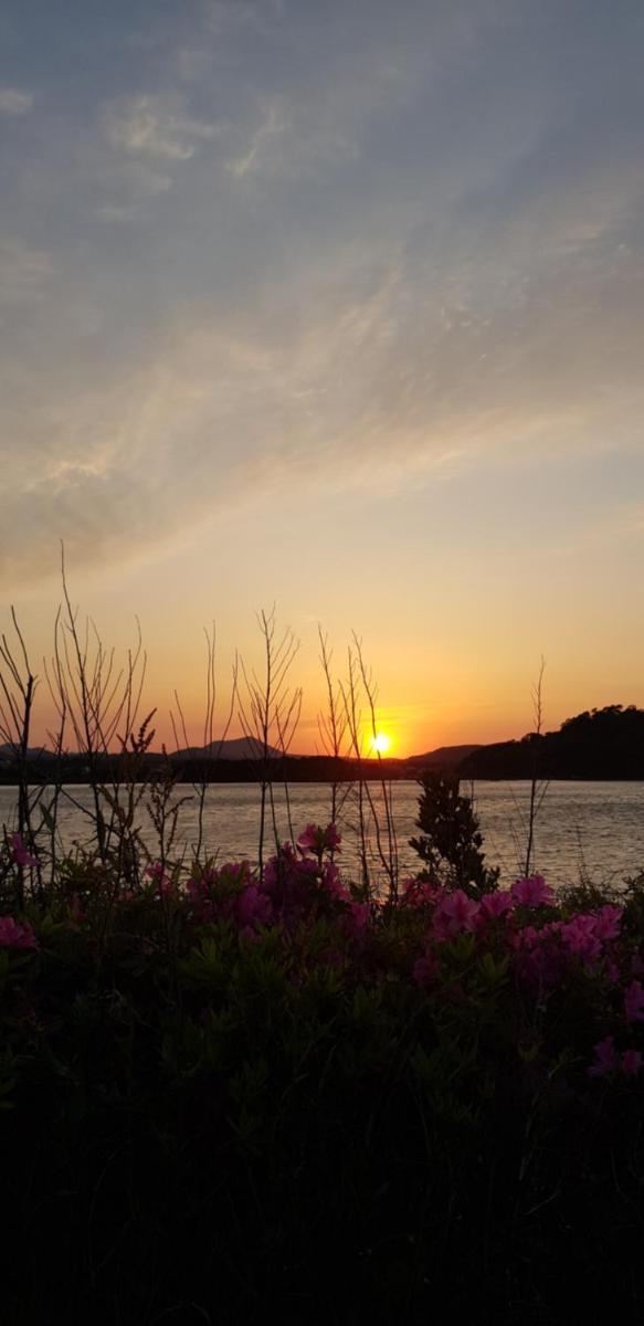 Foto de 푸른제주 펜션