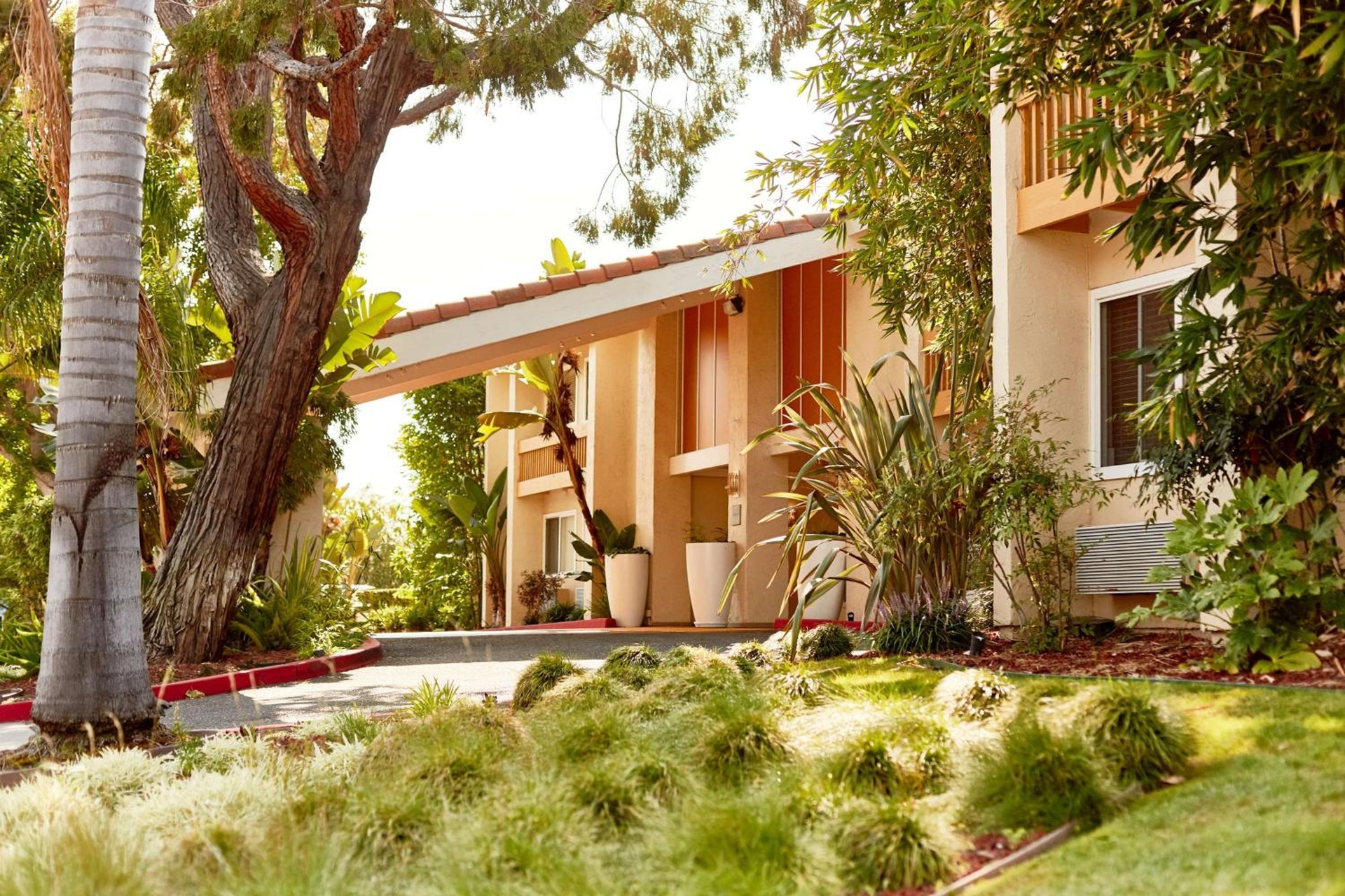 Wild Palms, a JdV by Hyatt Hotel, Sunnyvale