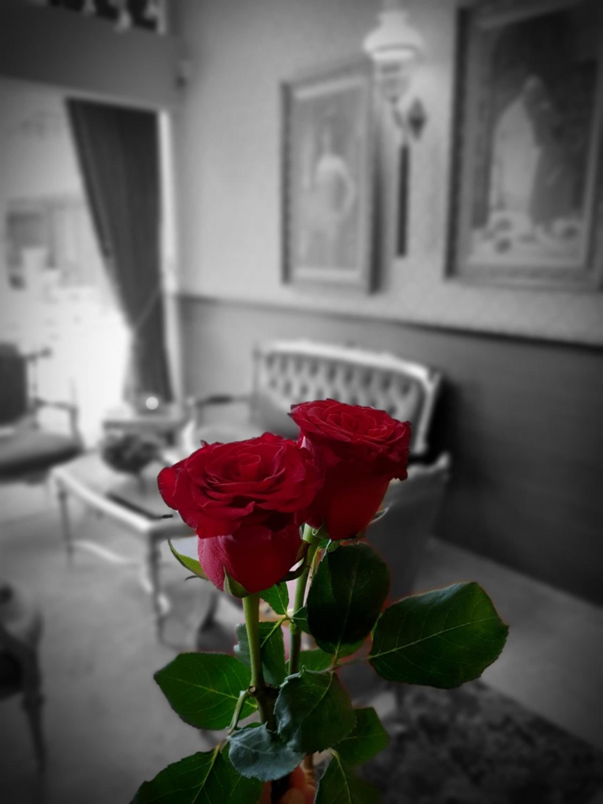Foto de Elysion Hotel