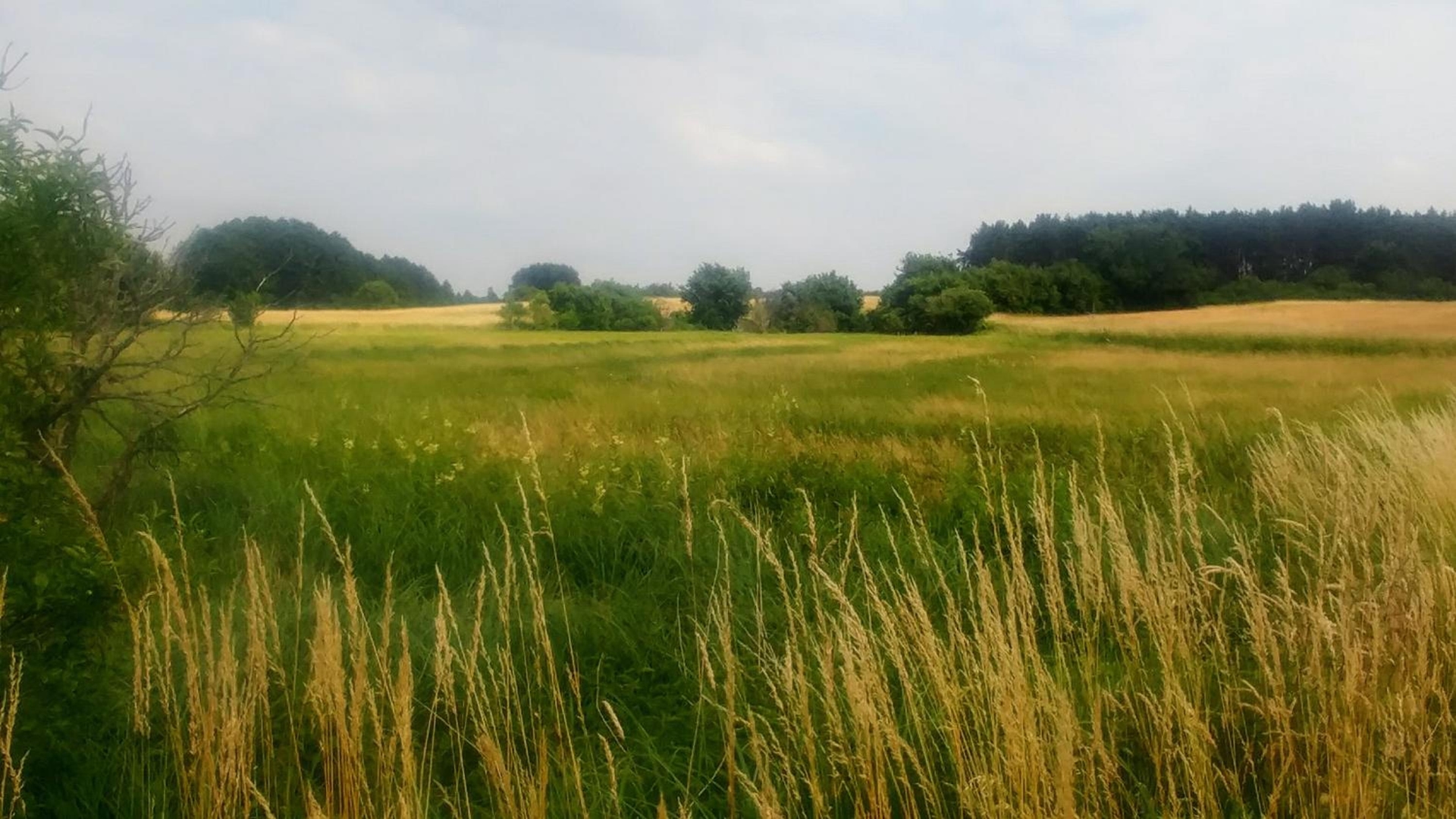 Foto de Mirabellenhof- Remise