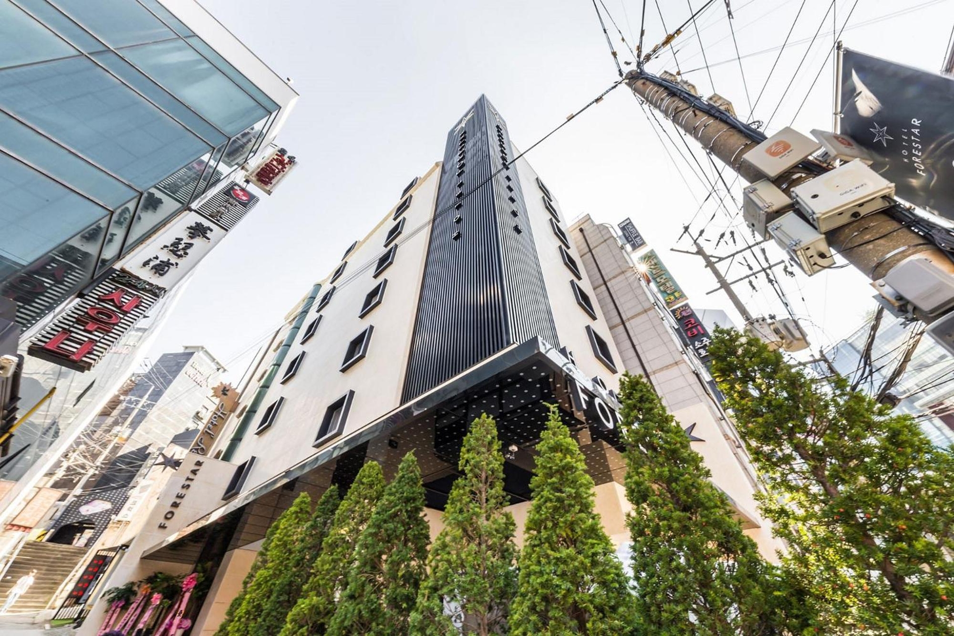 Forestar Hotel Sinchon