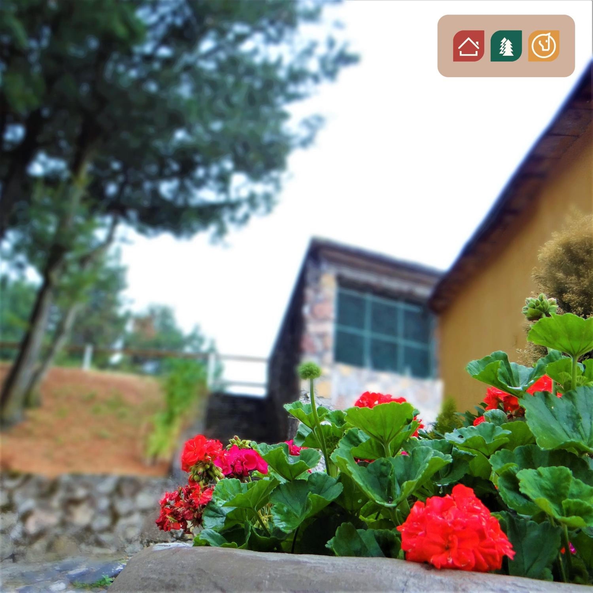 Rancho EL PARAÍSO AJUSCO