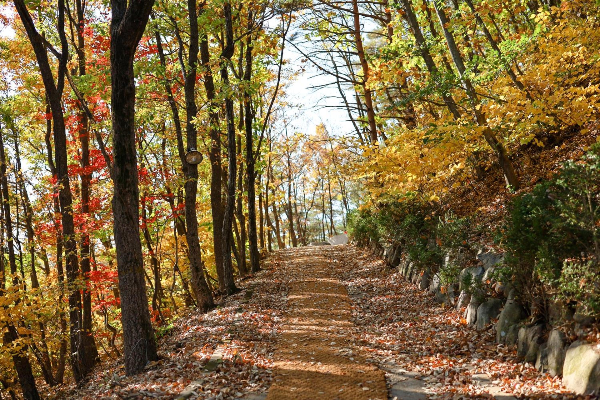 Foto de Kensington Resort Seorak Valley