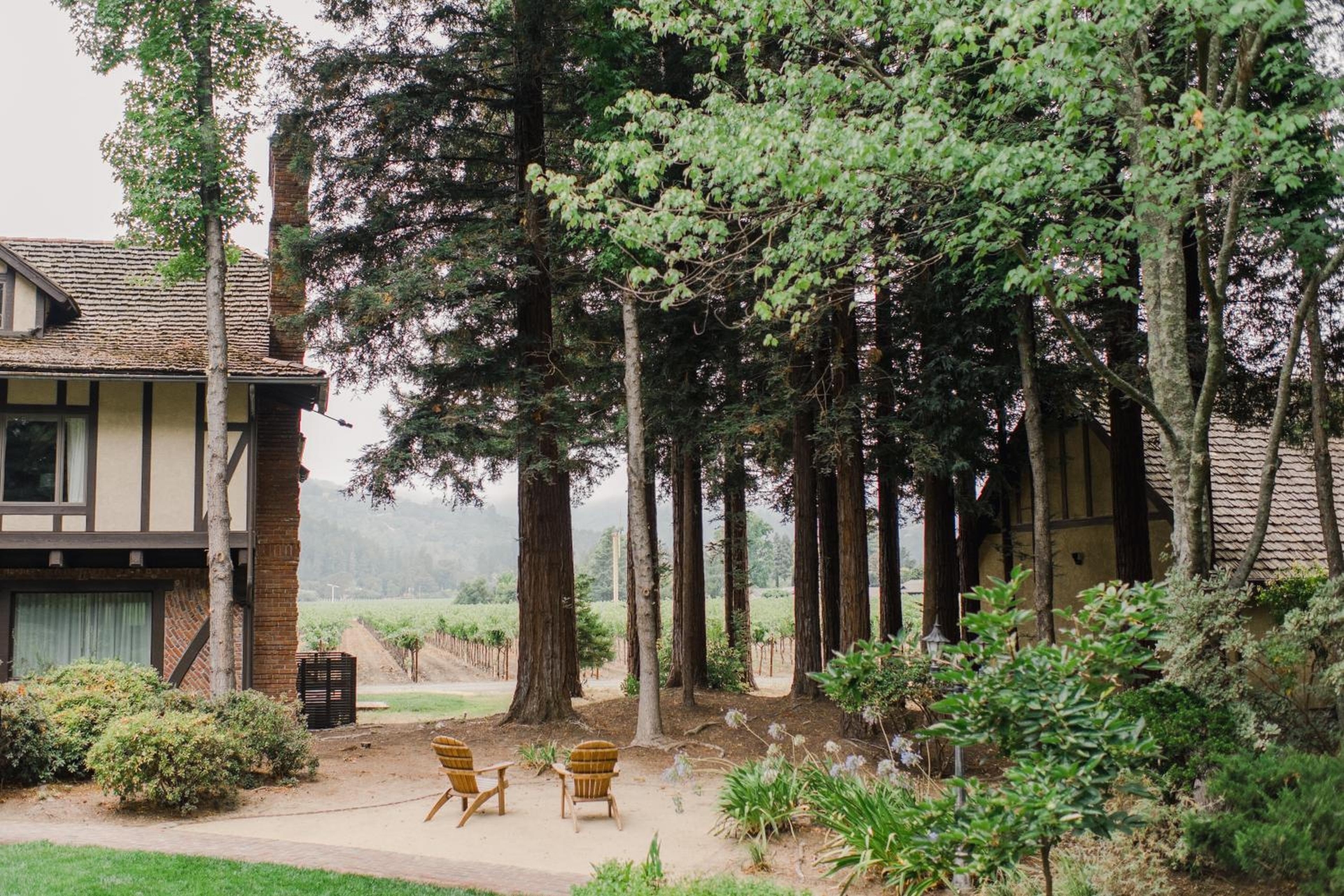 Harvest Inn, Saint Helena